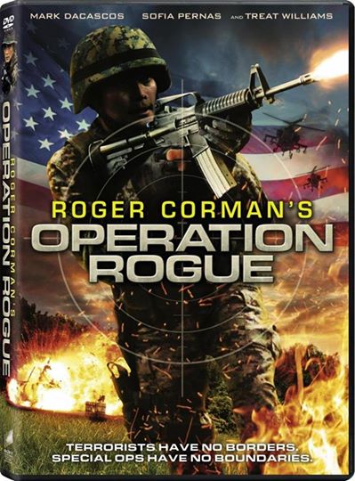 Operation Rogue (2014)-Film Online Subtitrat
