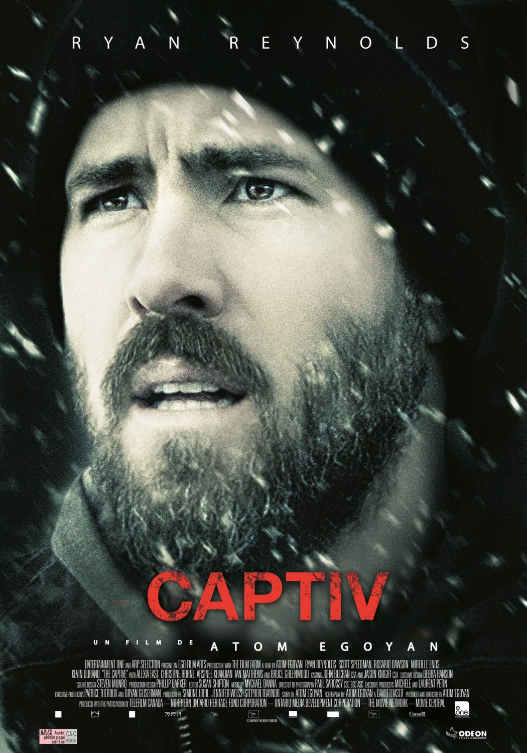 The Captive - Captiv (2014) online subtitrat