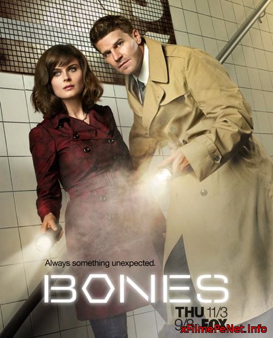 Bones - Sezonul 10 Episodul 7 online subtitrat