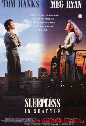 Sleepless in Seattle - Nopţi albe în Seattle Online Subtitrat
