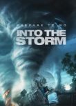 Into the Storm (2014) online subtitrat
